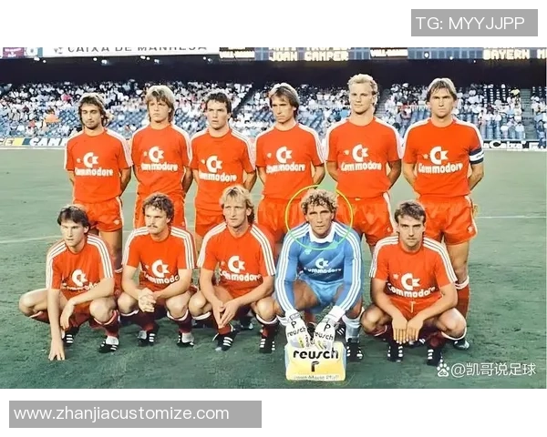 比利时足球历史十大球星排名及其辉煌成就回顾