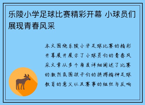 乐陵小学足球比赛精彩开幕 小球员们展现青春风采
