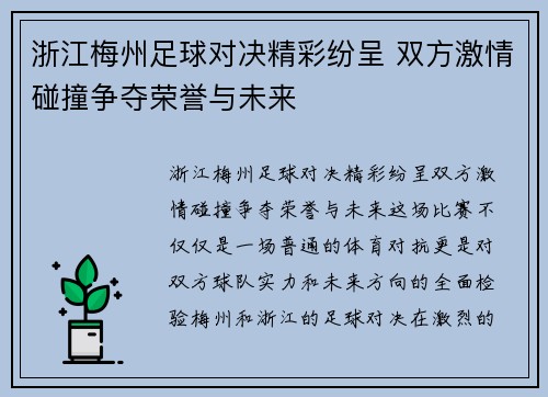 浙江梅州足球对决精彩纷呈 双方激情碰撞争夺荣誉与未来