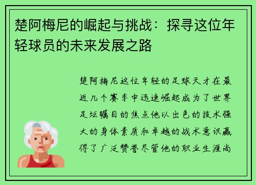 楚阿梅尼的崛起与挑战：探寻这位年轻球员的未来发展之路