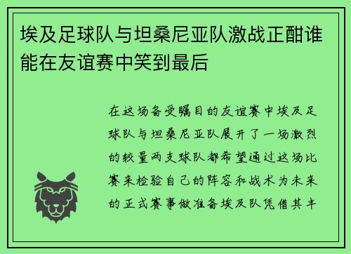 埃及足球队与坦桑尼亚队激战正酣谁能在友谊赛中笑到最后